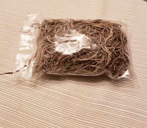 Spanish Moss